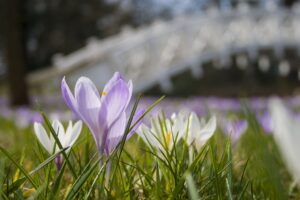 Touristisch hat der Landkreis sehr viel zu bieten - wir müssen mit dem Pfund noch viel mehr wuchern!