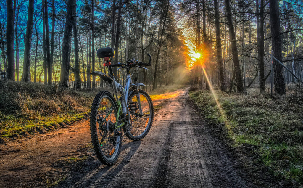 Radeln lässt es sich prima im Landkreis Wittenberg wie hier bei Bergwitz - gute Radwege müssen aber einen Mindeststandard erfüllen.