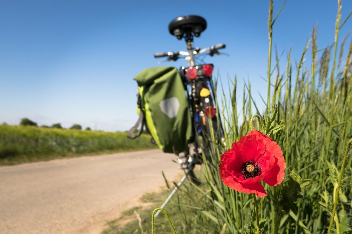 Radwege im Landkreis Wittenberg stehen oben auf meiner Prioritätenliste.